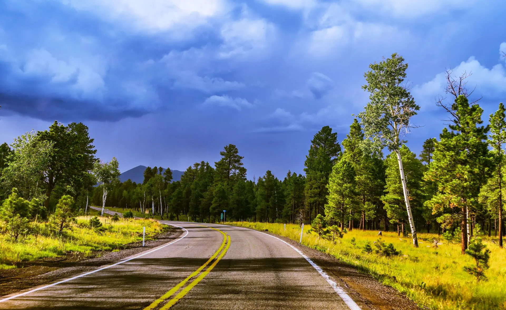 Two-lane road with a yellow centerline through ponderosa pines and aspens under a storm sky near Flagstaff, Arizona